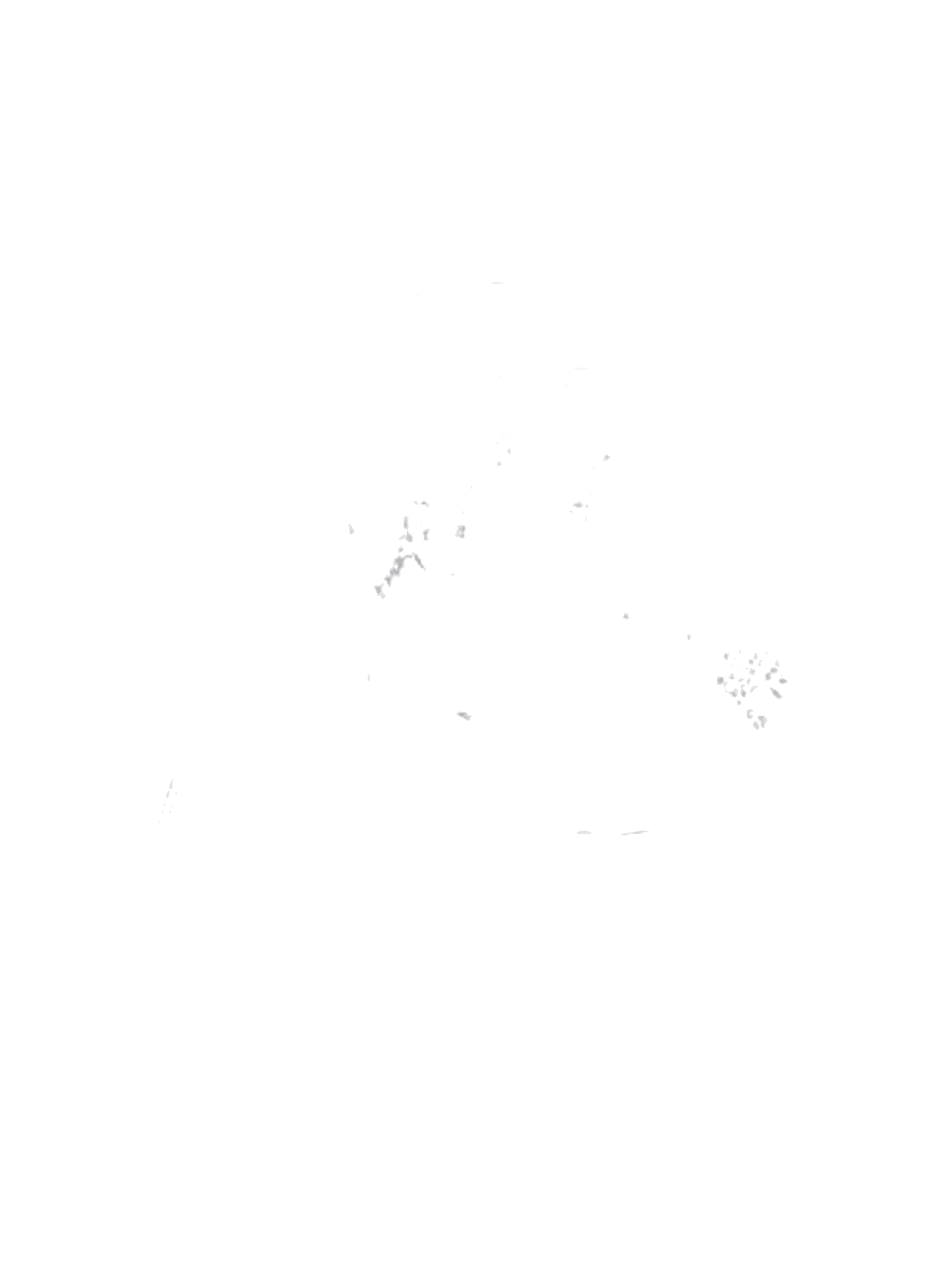 Vô Luiz Panificação Logo